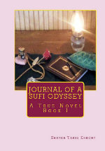 Journal of a Sufi Odyssey - Volume 1