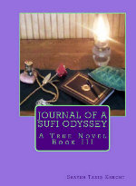 Journal of a Sufi Odyssey - Volume 3